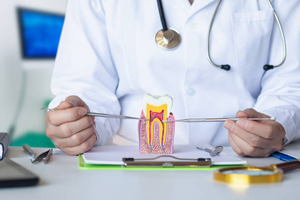 Best Emergency Dental Care for Sports Injuries in K I Sawyer, MI